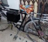 ব্যটারি চালিত cycle