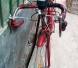 3/6 gear cycell