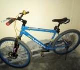 Viking cycle