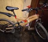 Duranta cycle