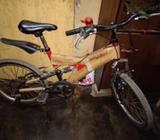 Duranta cycle