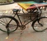 Cycle