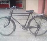 বাইসাইকেà¦