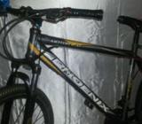 বাইসাইকেল phoenix