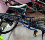 VELOCE 602.. 2019 version