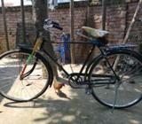 hero royel বাইসাইকেà¦