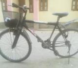 cycle