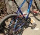 Veloce bicycle