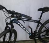 বাইসাইকেল phoenix-26