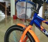 ২০ ইঞ্চি ফনিক্স সাইকেল বিক্রি হবেà¥