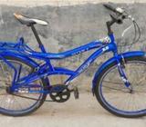 এডজাস্ট ক্যারিয়ার রানিং সাইকেà¦