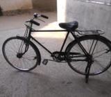 চায়না ফনিক্স সাইকেà¦