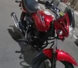 Starway pelatina 2010