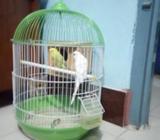 সুন্দর একটি পাখির খাঁচা বিক্রি হবেà¥
