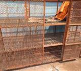 2টা খাচà¦