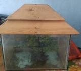 aquarium