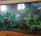 Aquarium