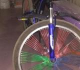 boxer cycle for cell