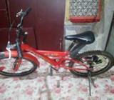 সাইকেলটা খুব ভাà¦