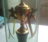 trophy sale