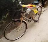 Cycles