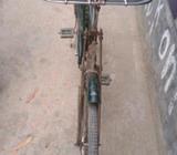 cycle