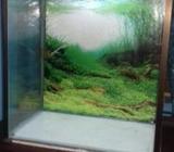 Aquarium