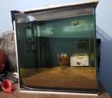 Aquarium