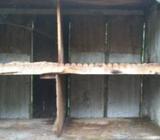 কবুতরের খাঁচà¦