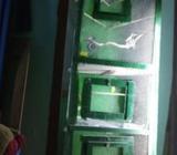 পৌষ প্রানীর উপকরà¦