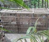 কবুতরের ৬ খোপের বাসাà¥