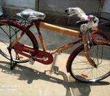 দুরন্ত সাইকেà¦