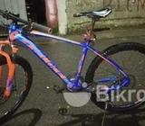 Veloce lejon 10
