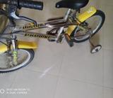 Cycle
