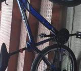 Cycle