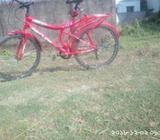 Cycle
