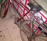 atlas cycle