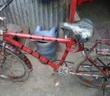 duranta bicycles