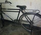 Cycle