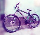 Peerless cycle