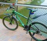 Kingsman cycle