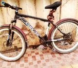 Oskar Cycle