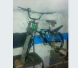 kid cycle16