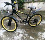 Falcon cycle