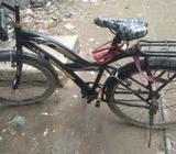 cycle