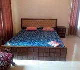 Exclusive Furnished apartment Rent In Gulshan