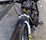 LAMACIA cycle