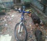 Cycle Sell