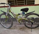 bicycle