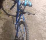 Duranta Bicycle